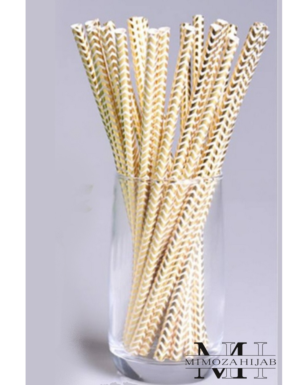 Lot 25 pailles carton Swing