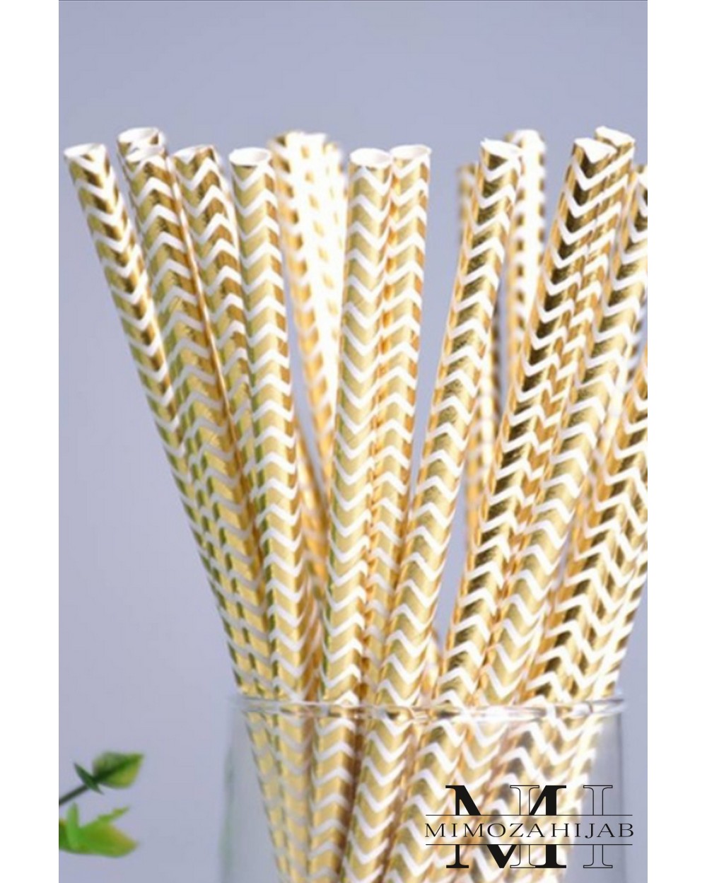 Lot 25 pailles carton Swing