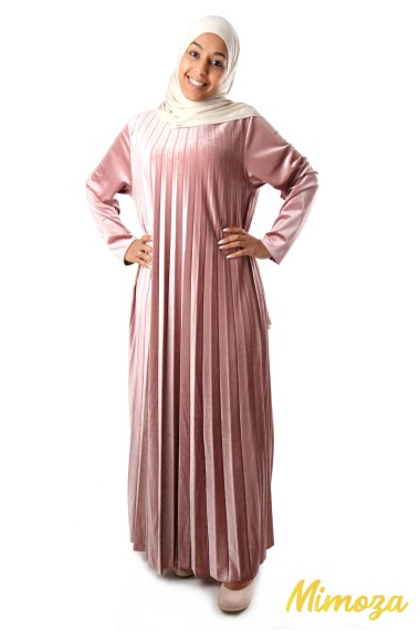 Retylia pleated velvet dress