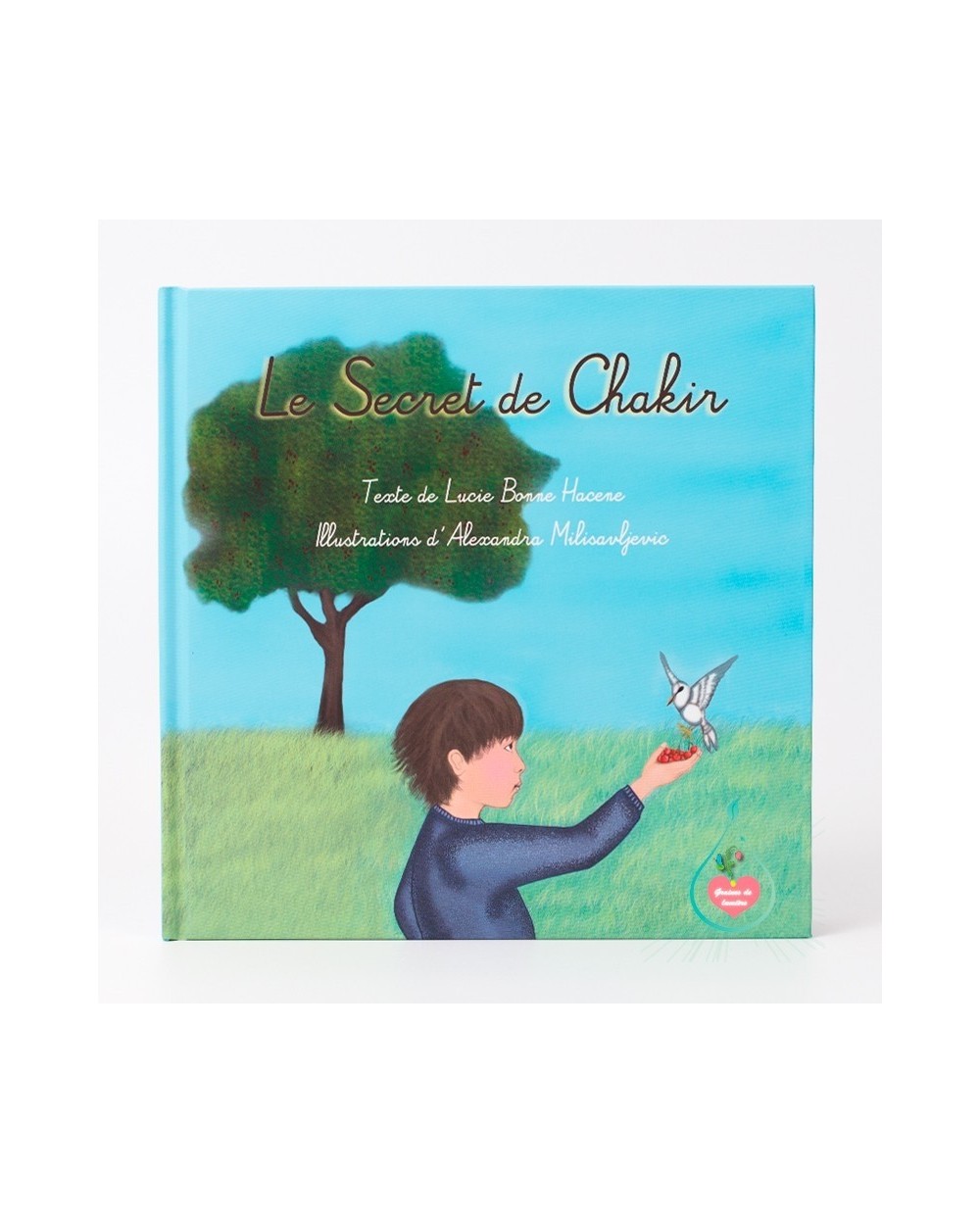 Chakir's Secret - Seeds of Light